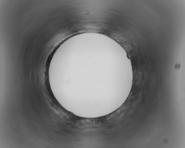 X0000101420338200808041133