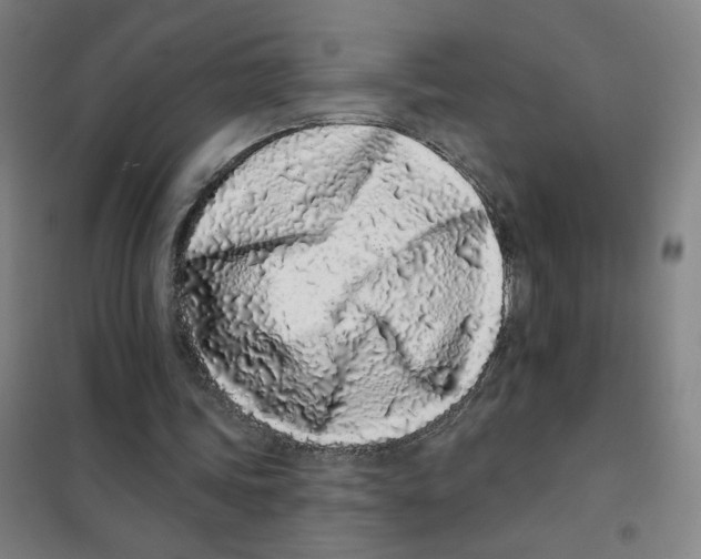 X0000101420339200808041133
