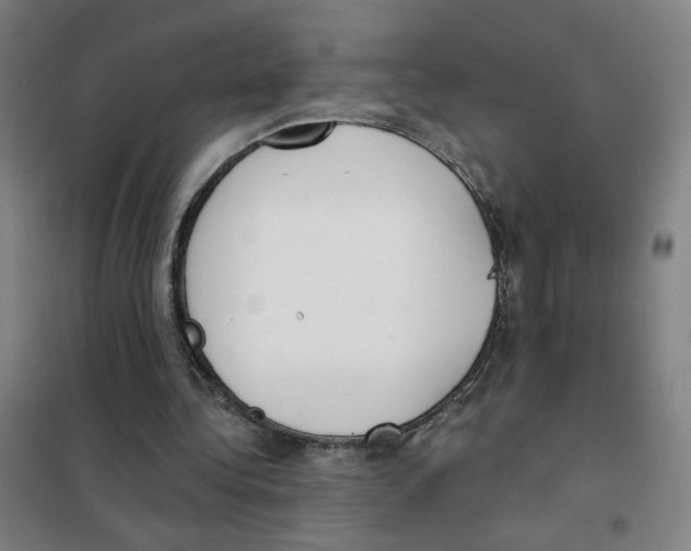 X0000101420340200808041133