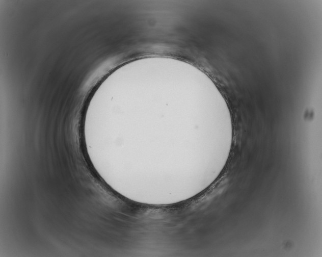 X0000101420341200808041133