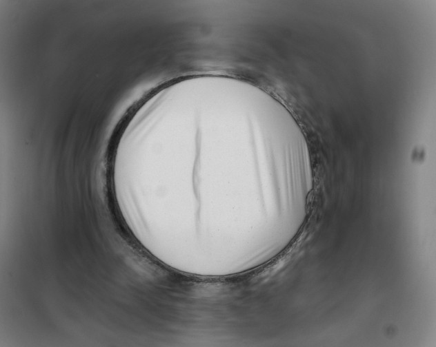 X0000101420342200808041133