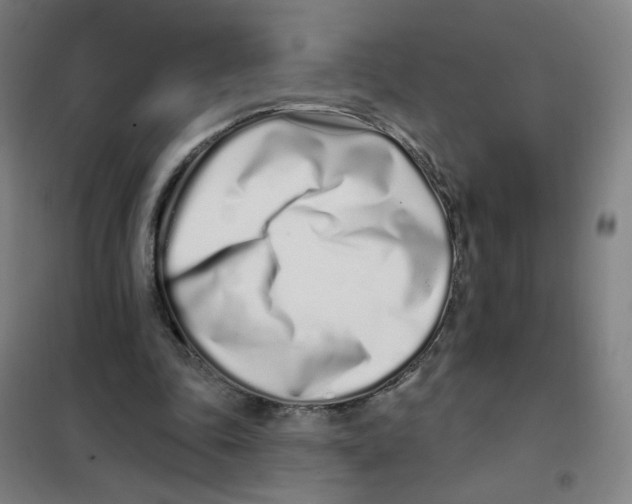 X0000101420343200808041133