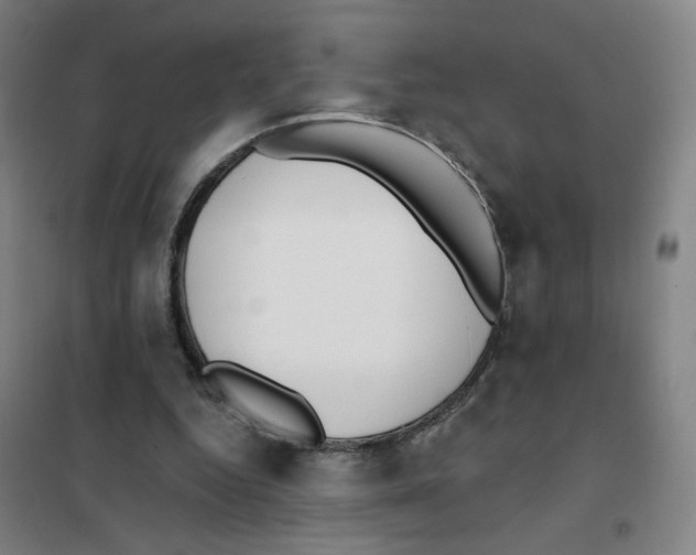 X0000101420344200808041133
