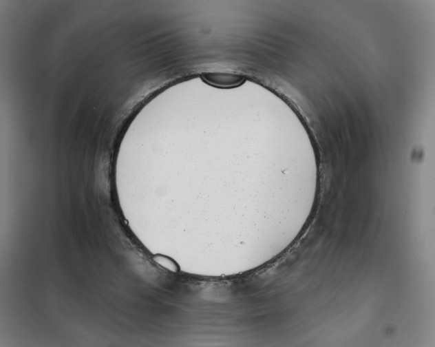 X0000101420345200808041133