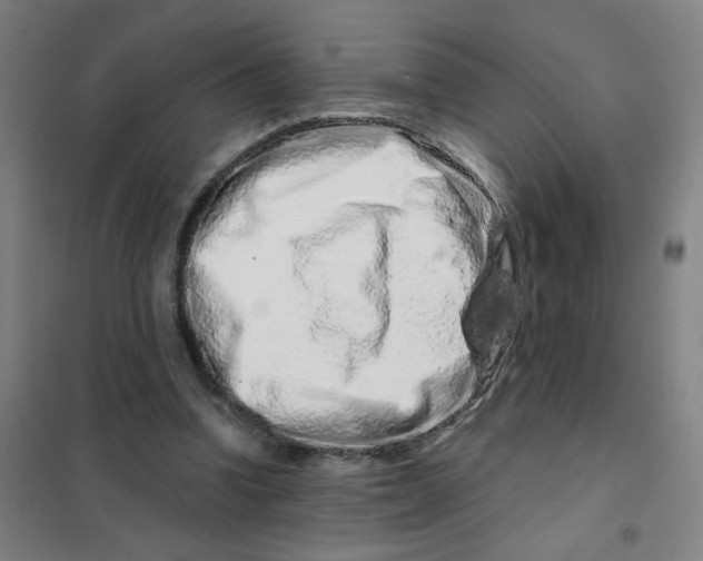 X0000101420346200808041133