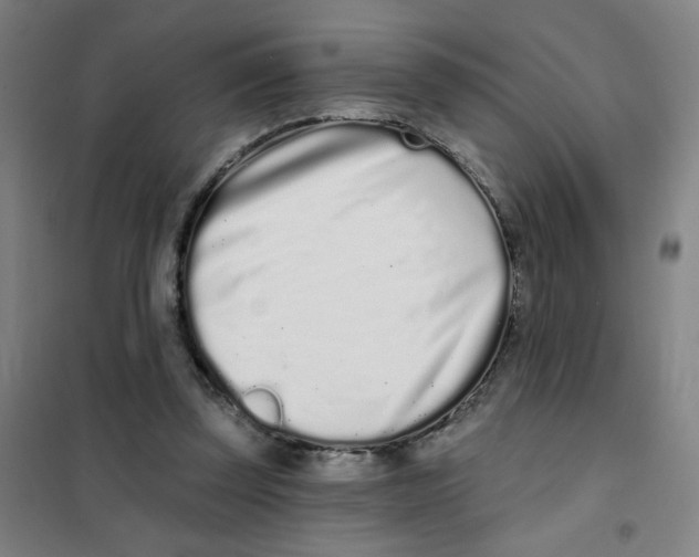 X0000101420347200808041133