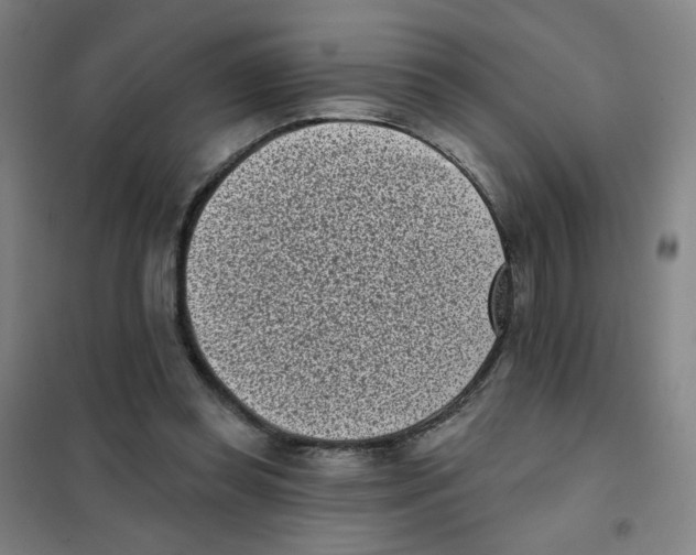 X0000101420349200808041133