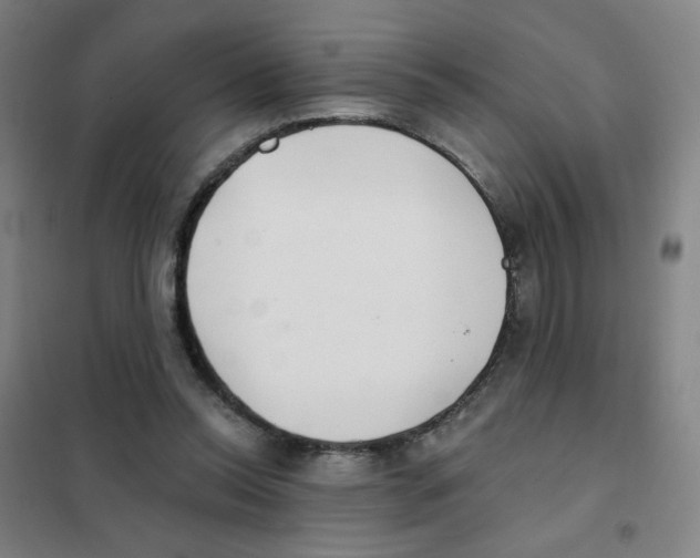 X0000101420350200808041133