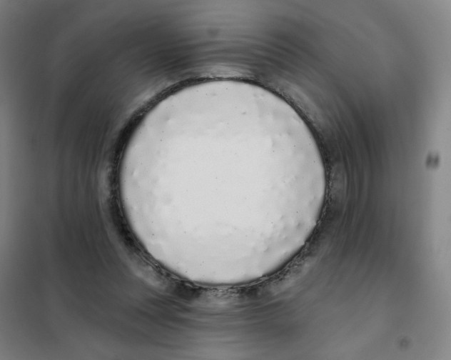 X0000101420351200808041133