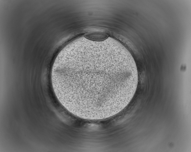 X0000101420352200808041133