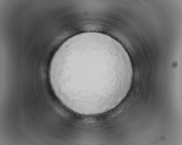 X0000101420353200808041133