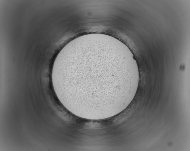 X0000101420354200808041133