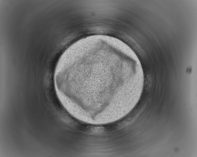 X0000101420355200808041133