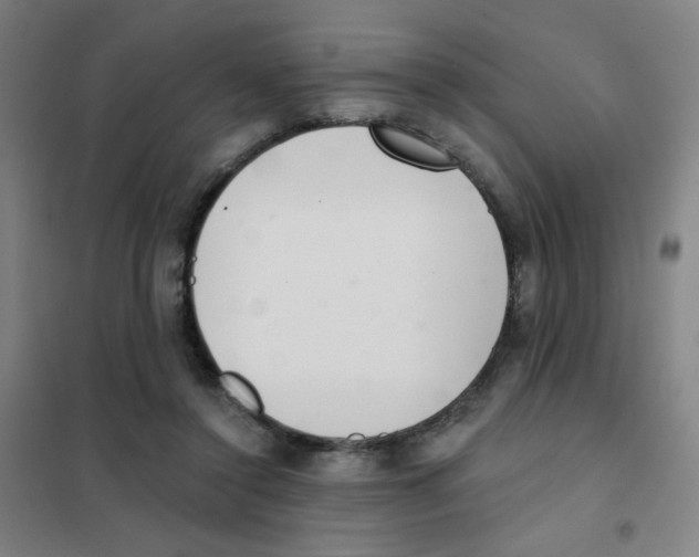 X0000101420356200808041133