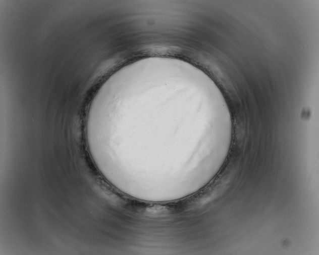 X0000101420357200808041133