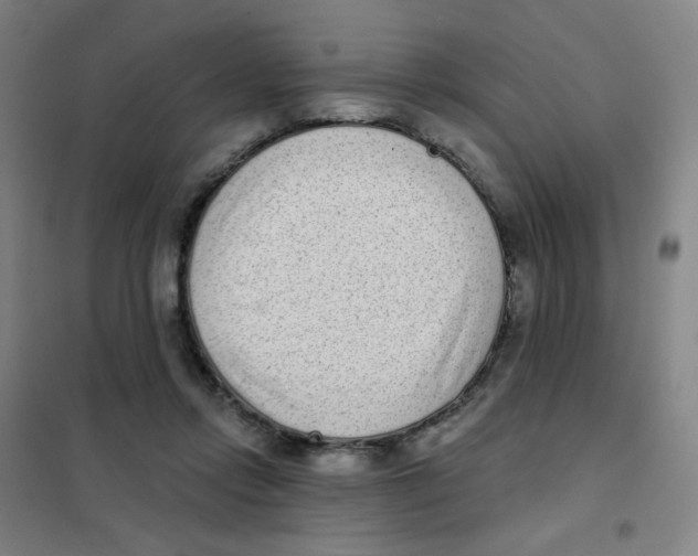 X0000101420358200808041133