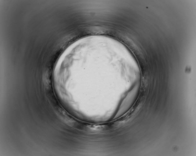 X0000101420359200808041133