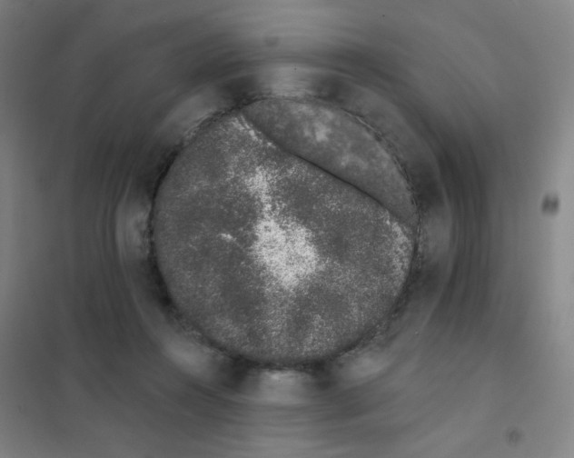 X0000101420360200808041133