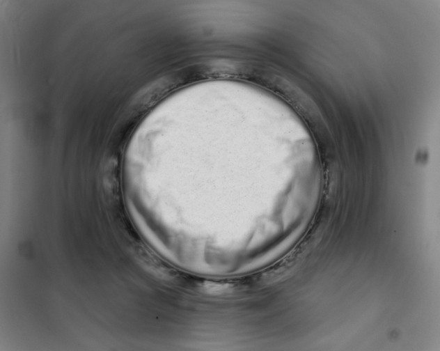 X0000101420361200808041133