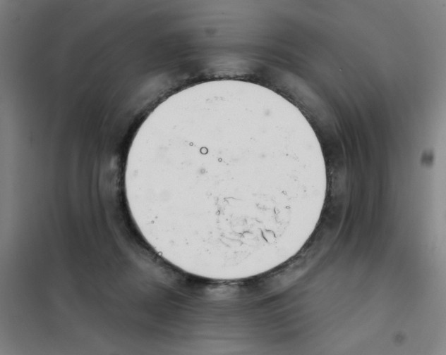 X0000101420362200808041133