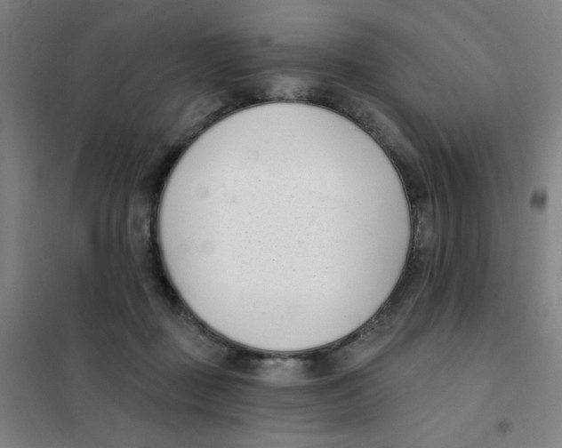 X0000101420363200808041133