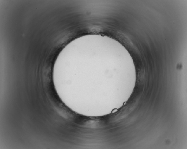 X0000101420364200808041133