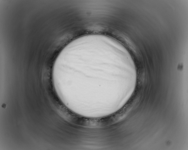 X0000101420365200808041133