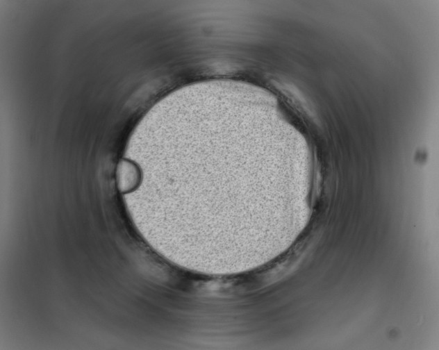 X0000101420366200808041133