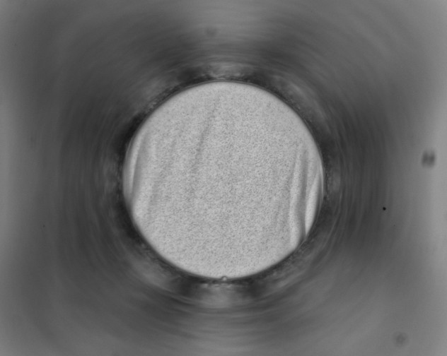 X0000101420367200808041133