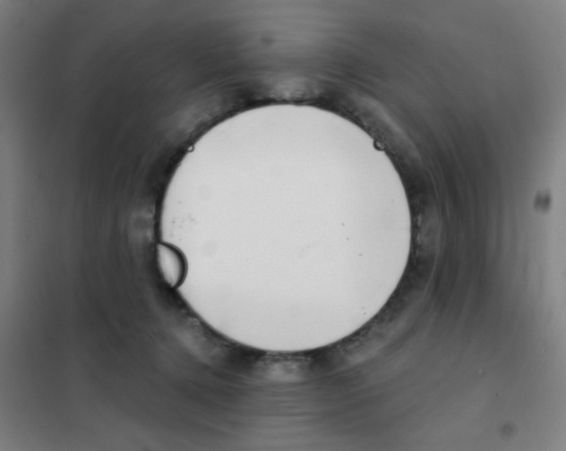 X0000101420368200808041133