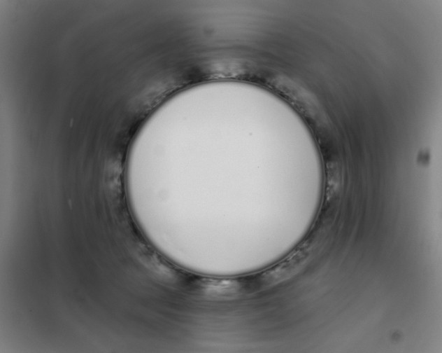 X0000101420369200808041133