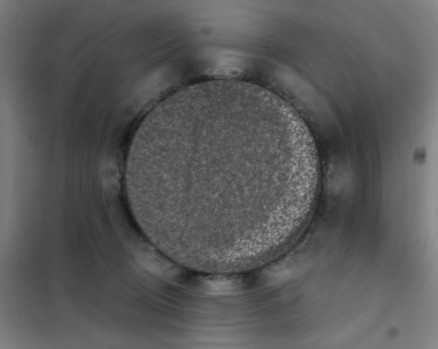 X0000101420370200808041133