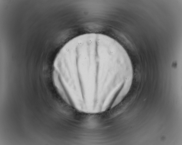 X0000101420371200808041133
