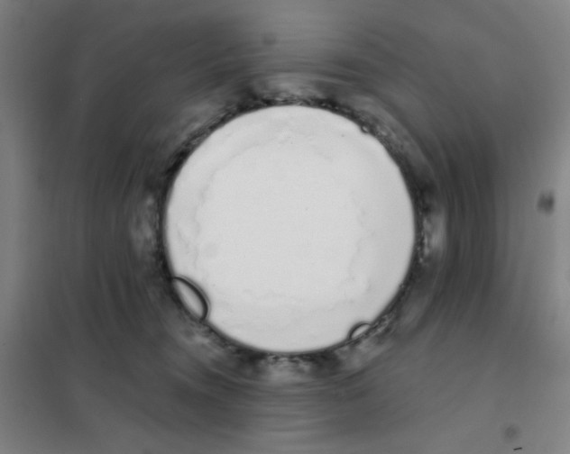 X0000101420372200808041133