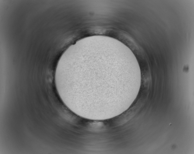 X0000101420374200808041133