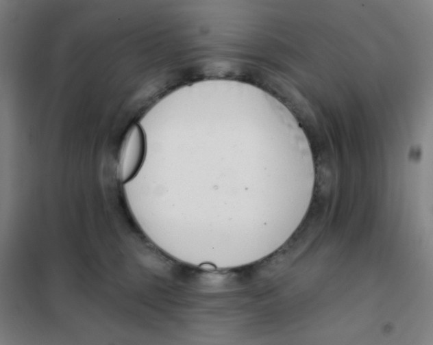 X0000101420375200808041133