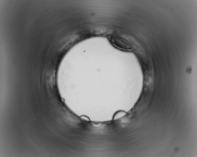 X0000101420376200808041133