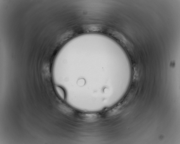 X0000101420377200808041133