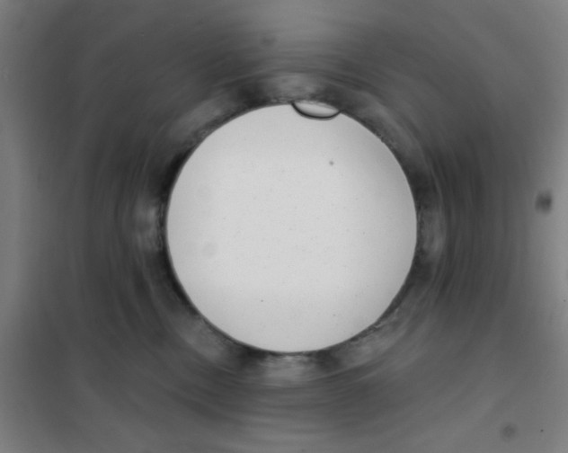 X0000101420378200808041133