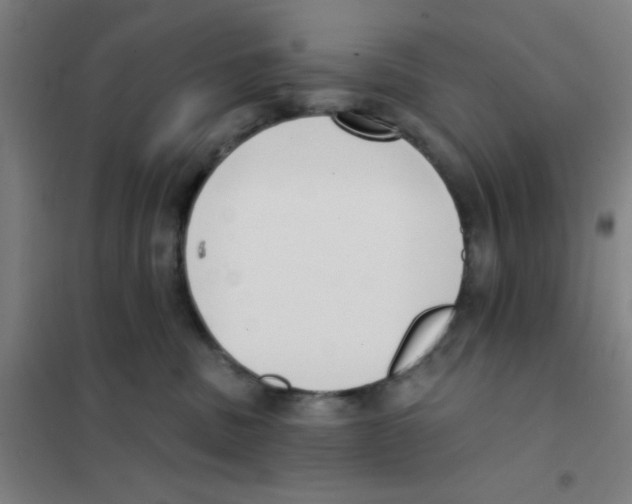 X0000101420379200808041134