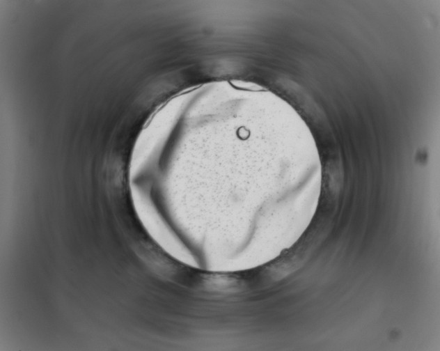 X0000101420380200808041134