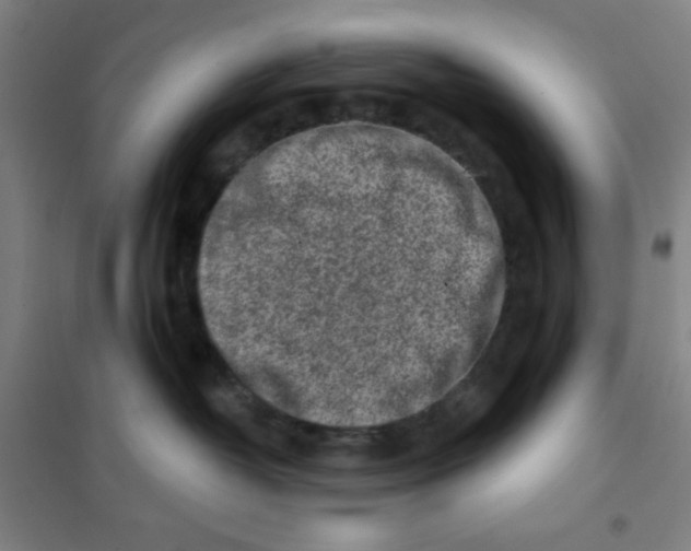 X0000101420382200808041134