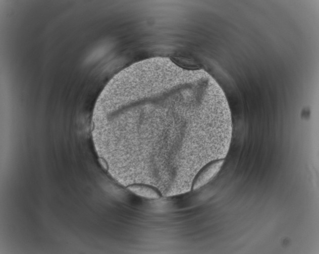 X0000101420383200808041134