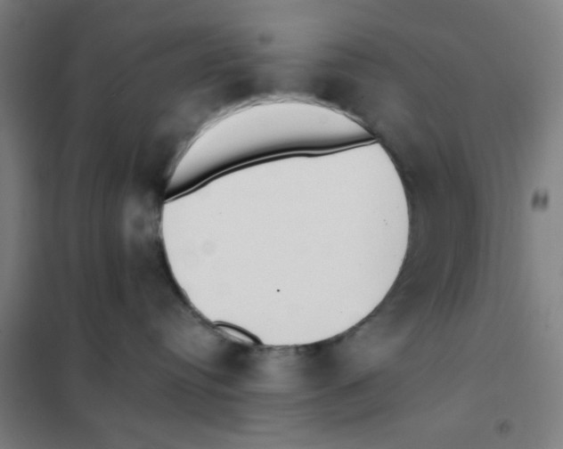 X0000101420384200808041134