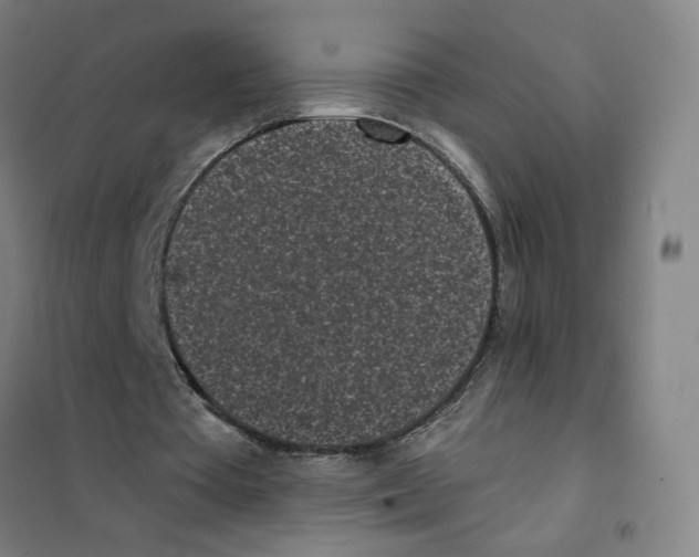 X0000101420385200808041133