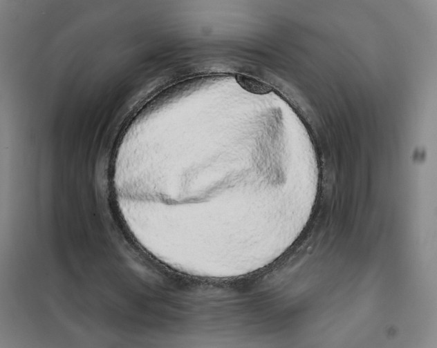 X0000101420386200808041133