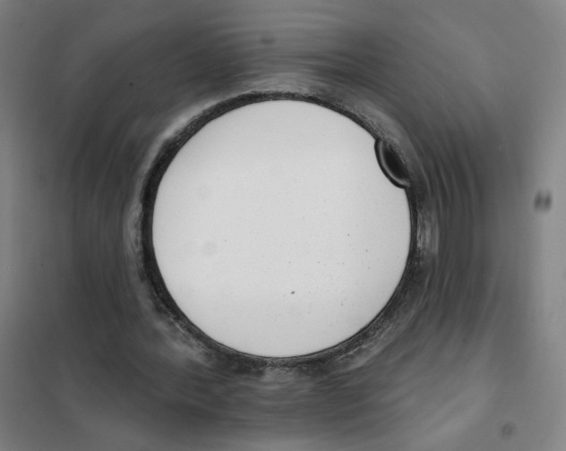 X0000101420388200808041133
