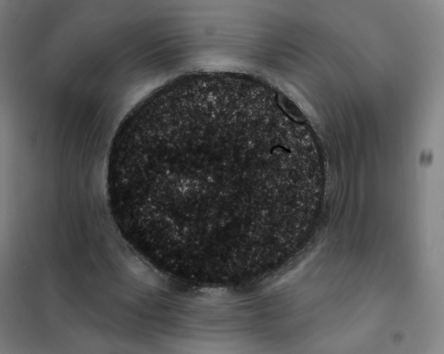 X0000101420391200808041132