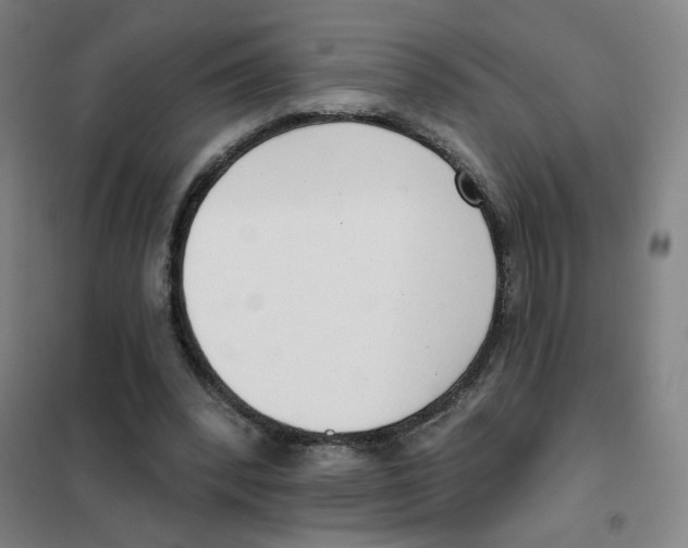 X0000101420392200808041132