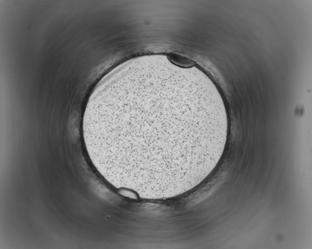 X0000101420393200808041132